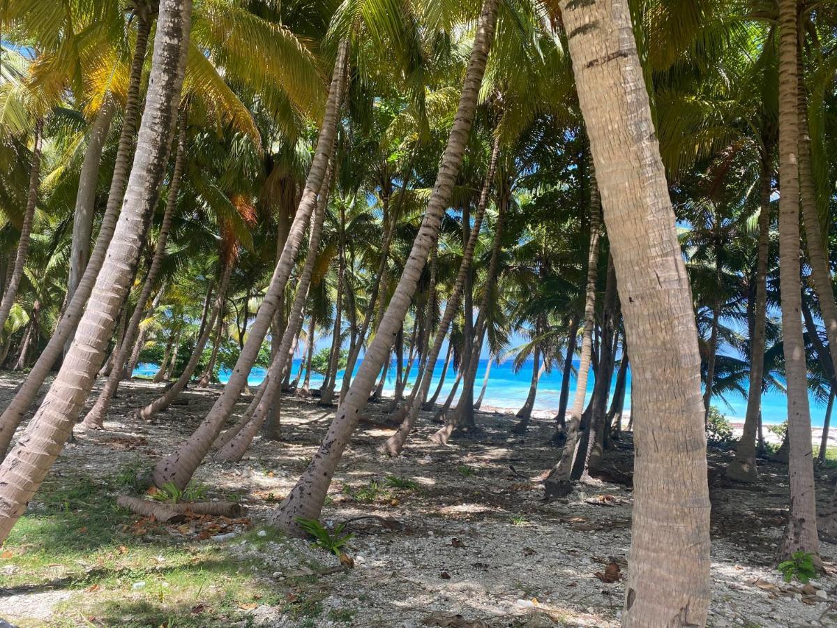 Beachfront Apartment, Quiet 4 Beds, 1 Bath, Ac, Wi-Fi, Hot Water, In Paraiso Near Los Patos Exterior foto