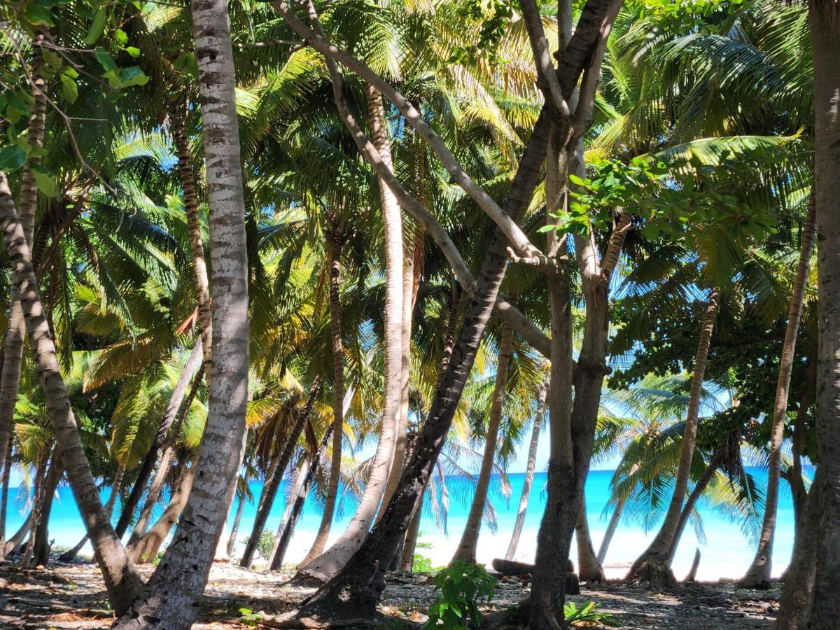 Beachfront Apartment, Quiet 4 Beds, 1 Bath, Ac, Wi-Fi, Hot Water, In Paraiso Near Los Patos Exterior foto